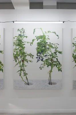 VII 林建 Lin Jian